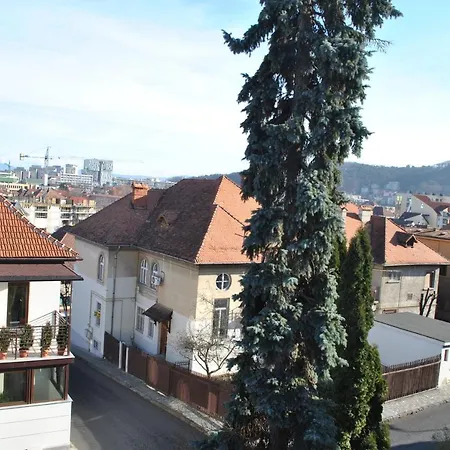 Rapunzel's Tower In Winterfell - Near The Citadel * Brasov